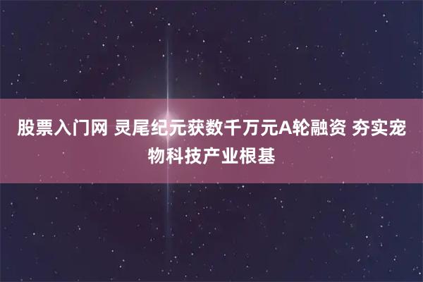 股票入门网 灵尾纪元获数千万元A轮融资 夯实宠物科技产业根基